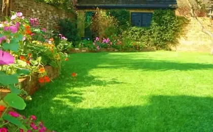 Ein saftig grüner Kunstrasen umrahmt von bunten Blumenbeeten im Garten. Gepflegter künstlicher Rasen am Gartenhaus.