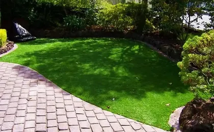 Ein perfekt gepflegter Kunstrasen im Garten neben einem Pflasterweg. Hochwertiger künstlicher Rasen im Grünen.
