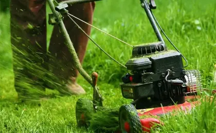 Ein Gärtner mäht hohen, grünen Rasen mit einem roten Benzin-Rasenmäher. Professionelle Gartenpflege im Außenbereich.